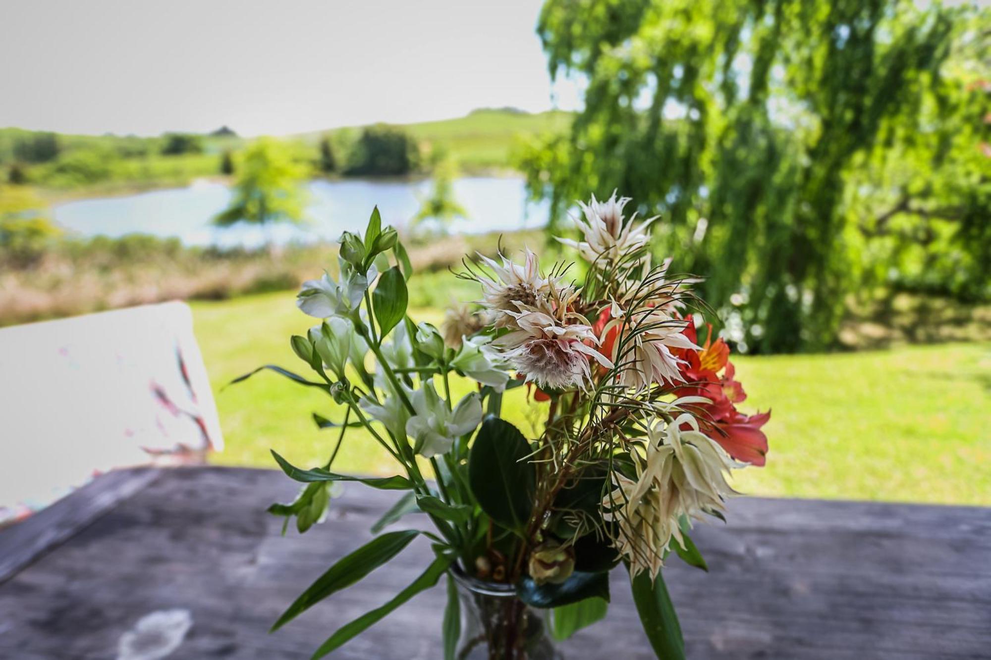 Farm stay Galileo Farm Elgin (Western Cape)