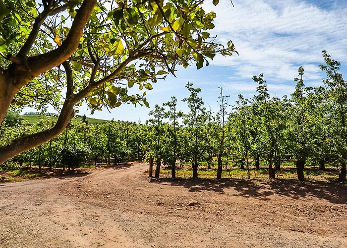 Galileo Farm