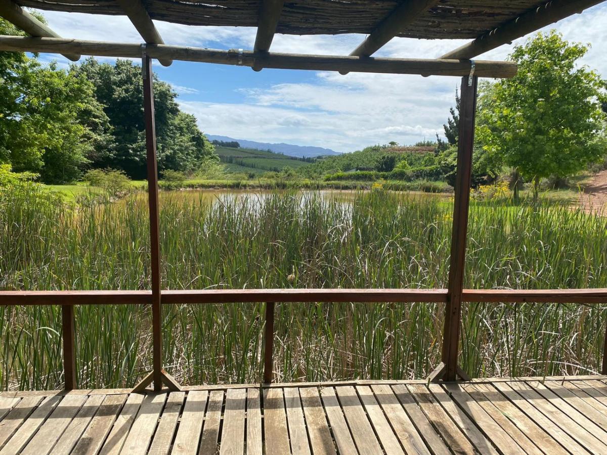 Galileo Farm Elgin (Western Cape)