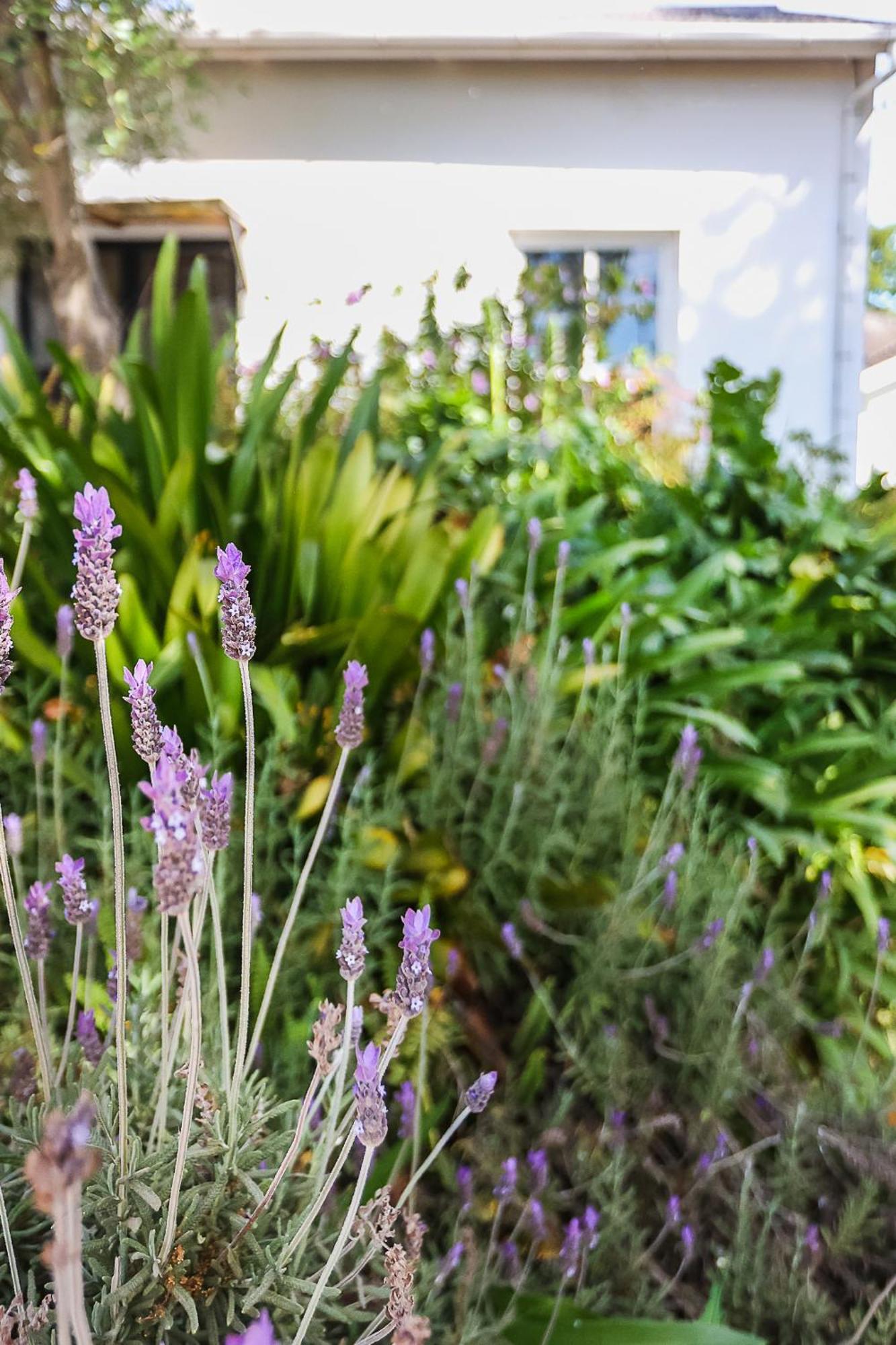 Galileo Farm Farm stay