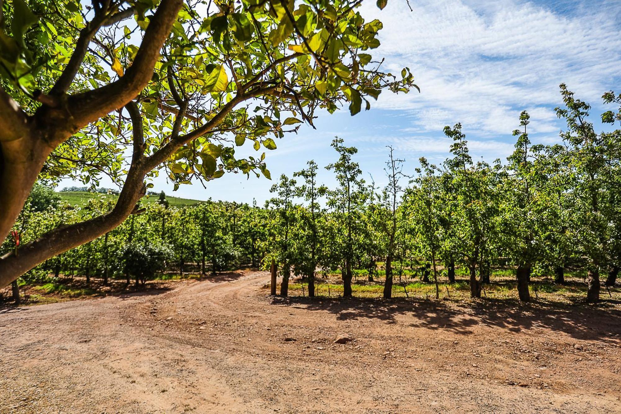 Galileo Farm Farm stay *