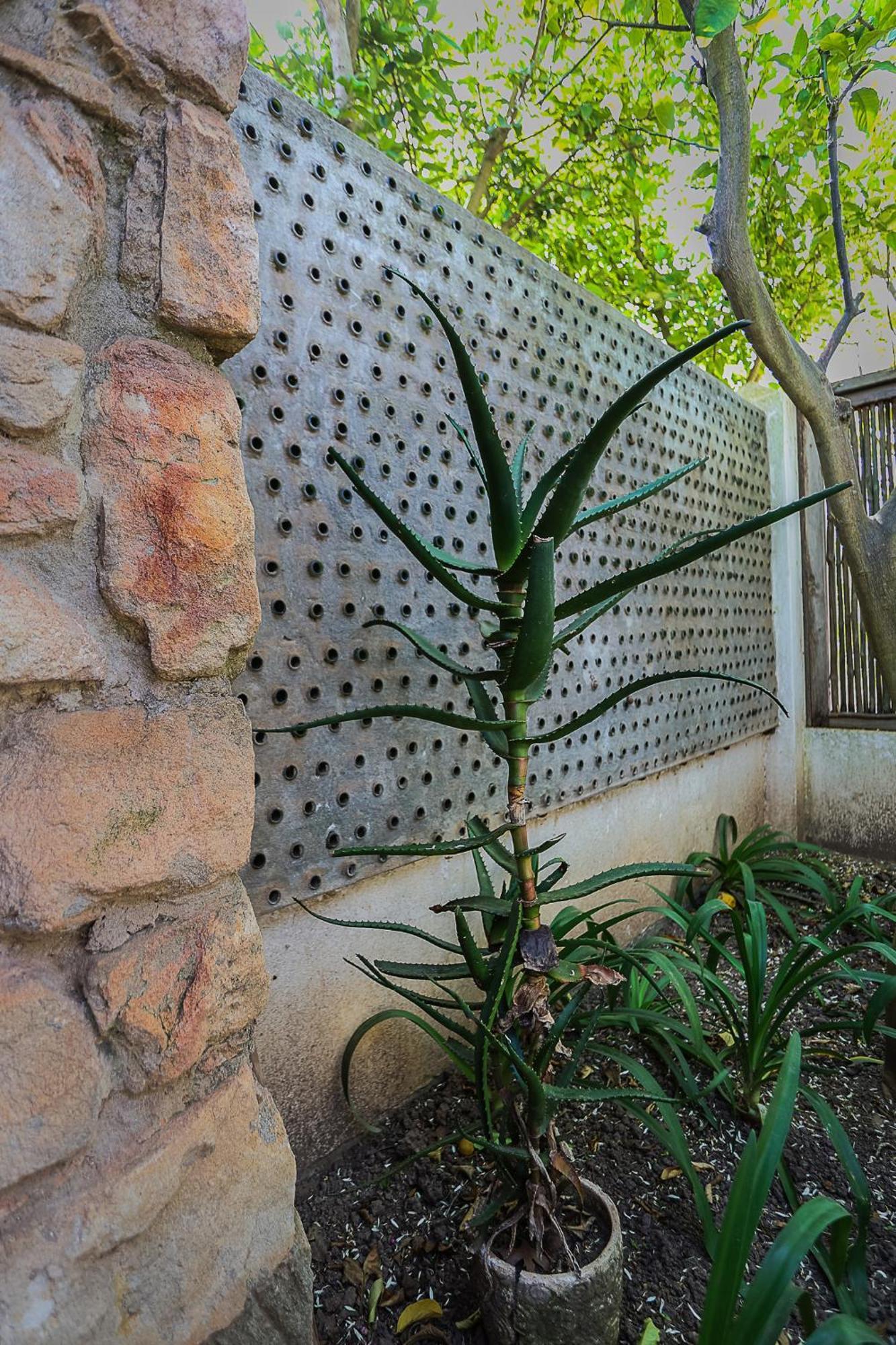 Farm stay Galileo Farm Elgin (Western Cape)