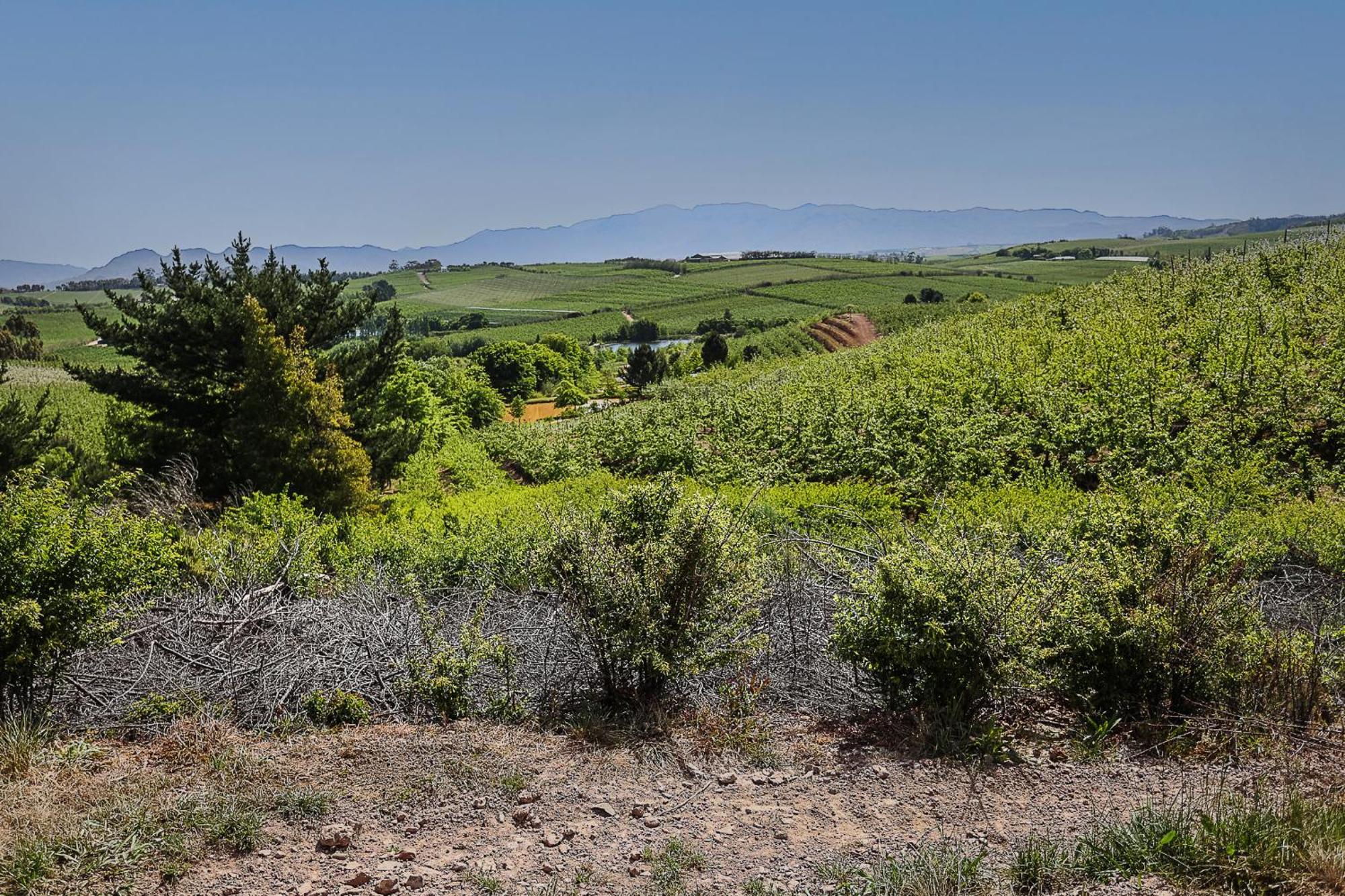 Farm stay Galileo Farm *