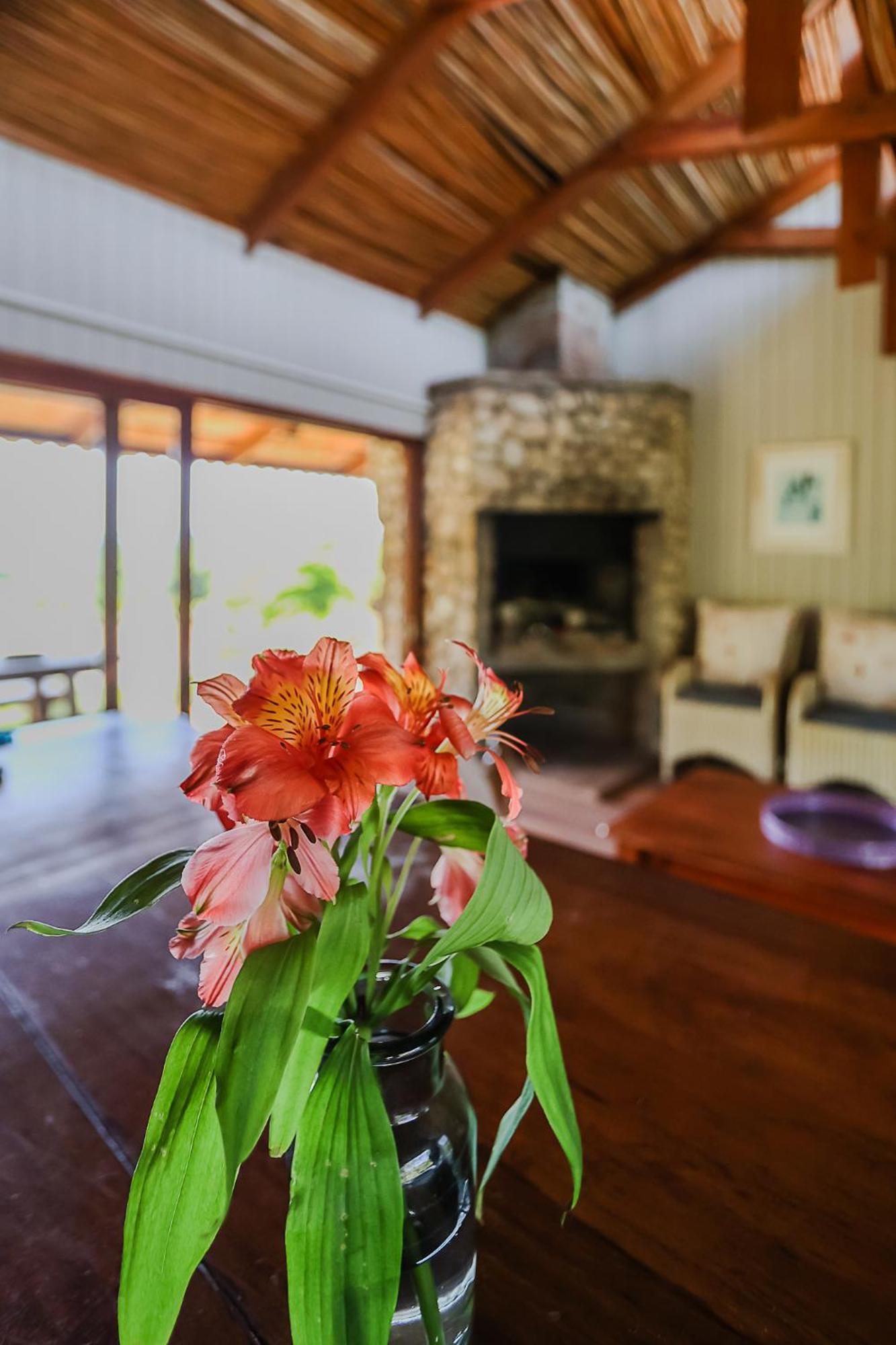 Farm stay Galileo Farm Elgin (Western Cape)