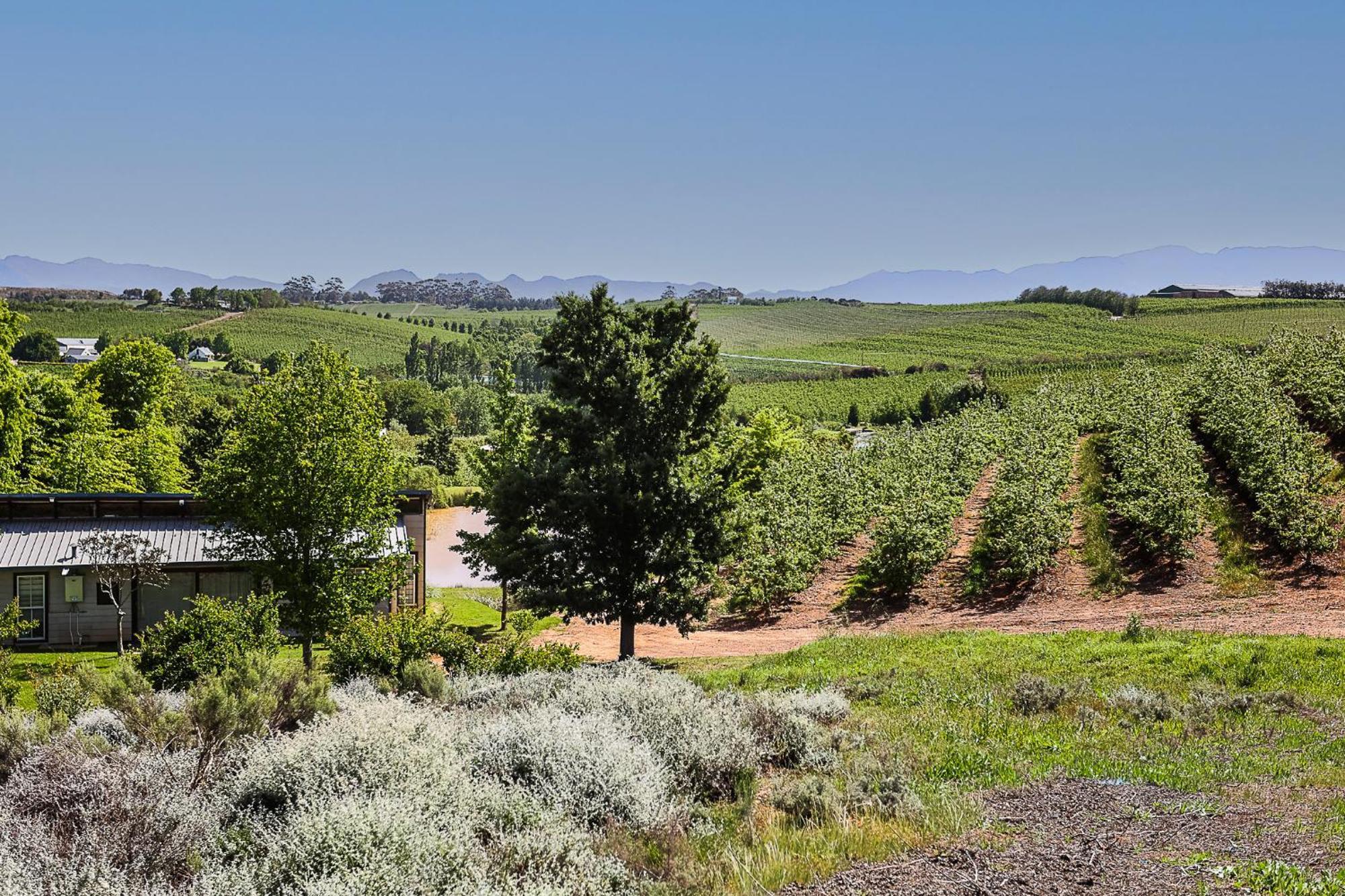 Galileo Farm * Elgin (Western Cape)