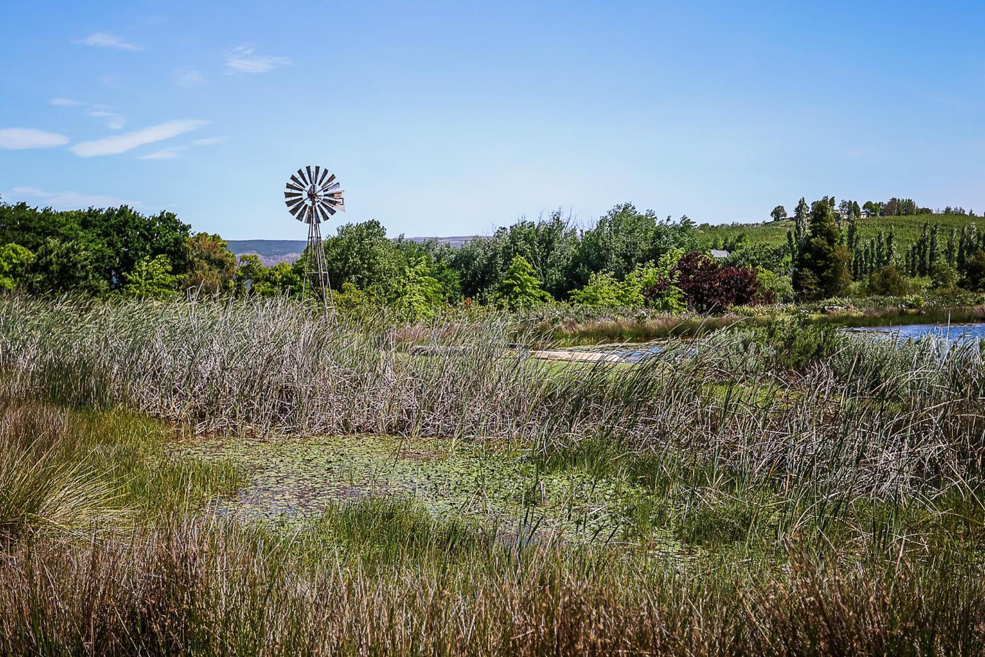 Galileo Farm *