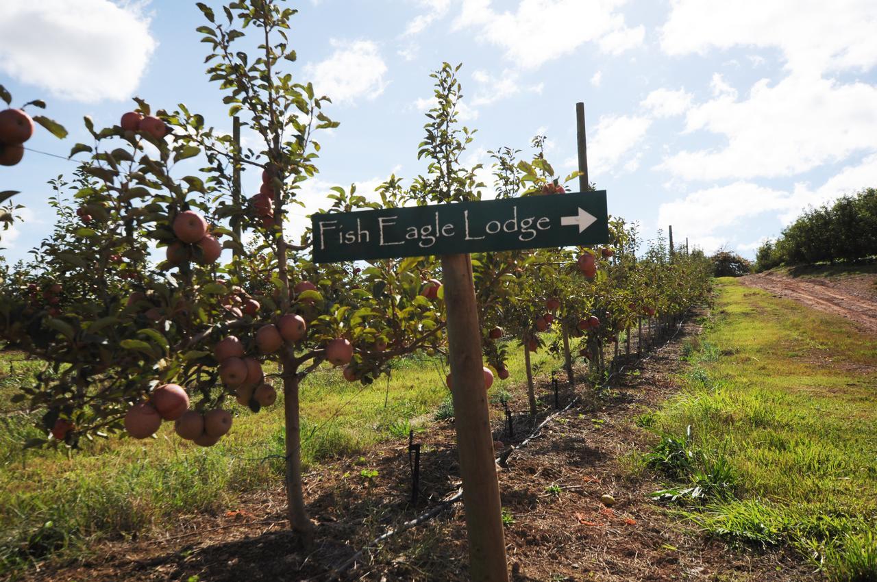 Galileo Farm * Elgin (Western Cape)