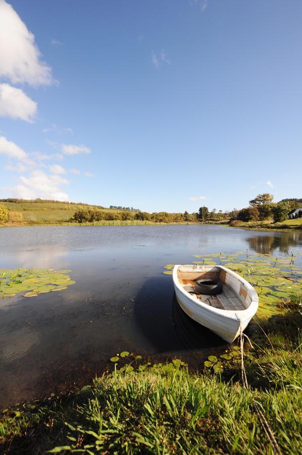 Galileo Farm * Elgin (Western Cape)