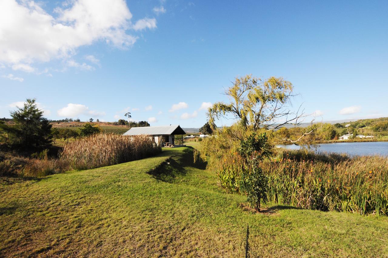Galileo Farm * Elgin (Western Cape)