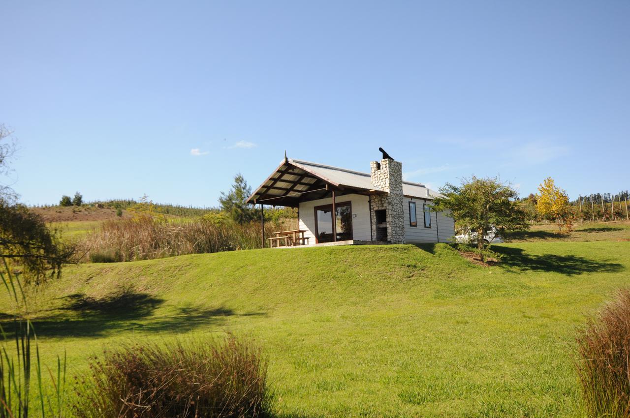 Galileo Farm * Elgin (Western Cape)