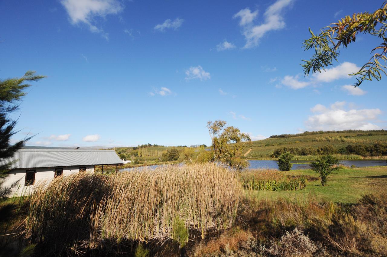 Galileo Farm * Elgin (Western Cape)