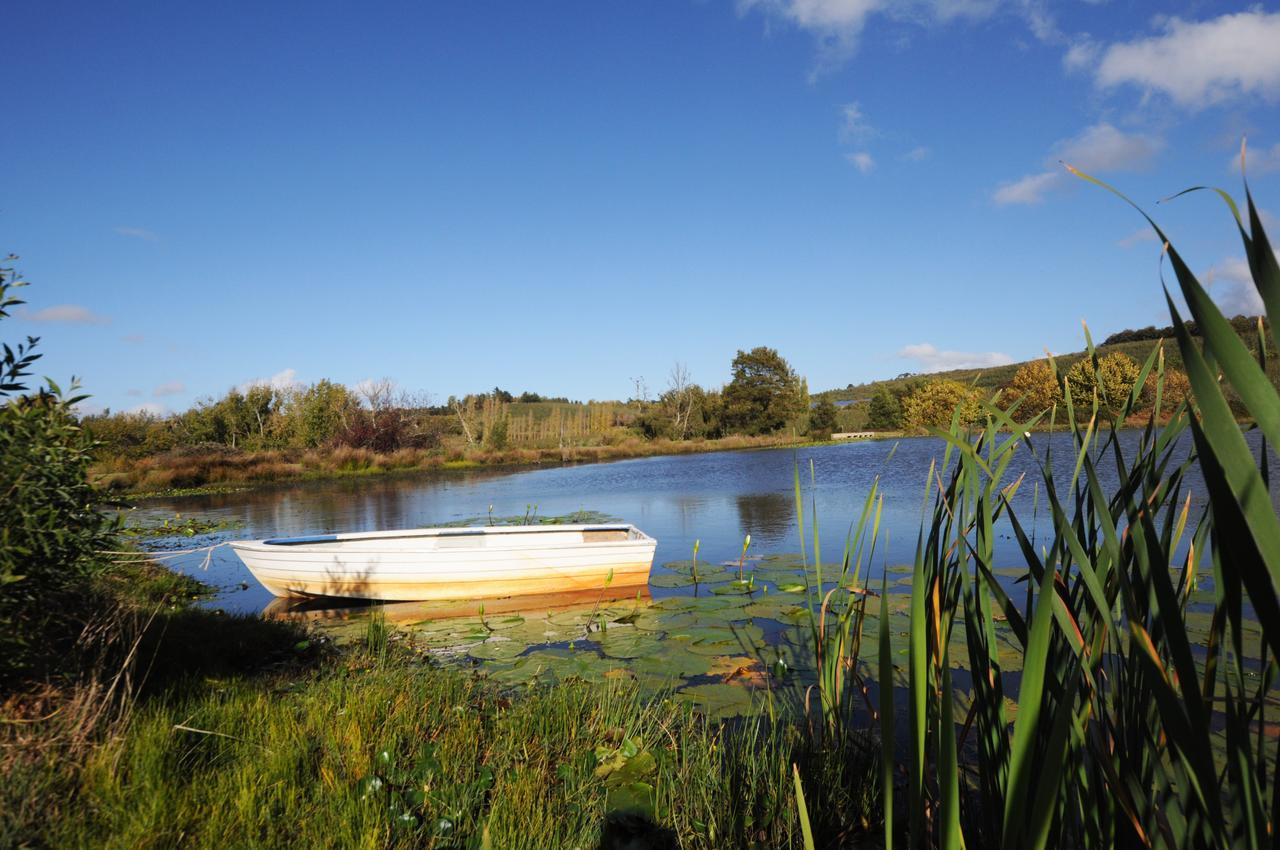 Farm stay Galileo Farm Elgin (Western Cape)