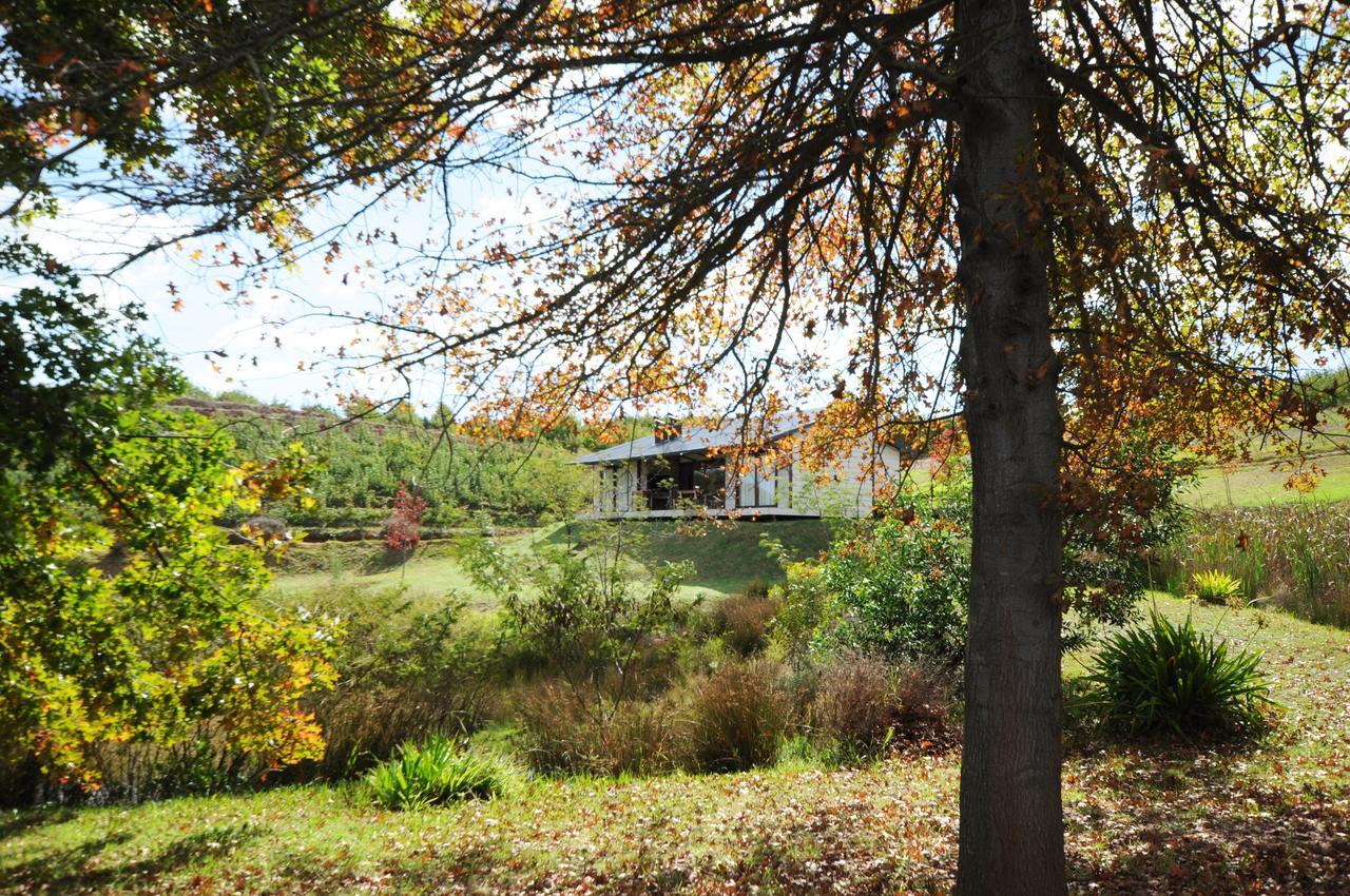 Galileo Farm Farm stay Elgin (Western Cape)