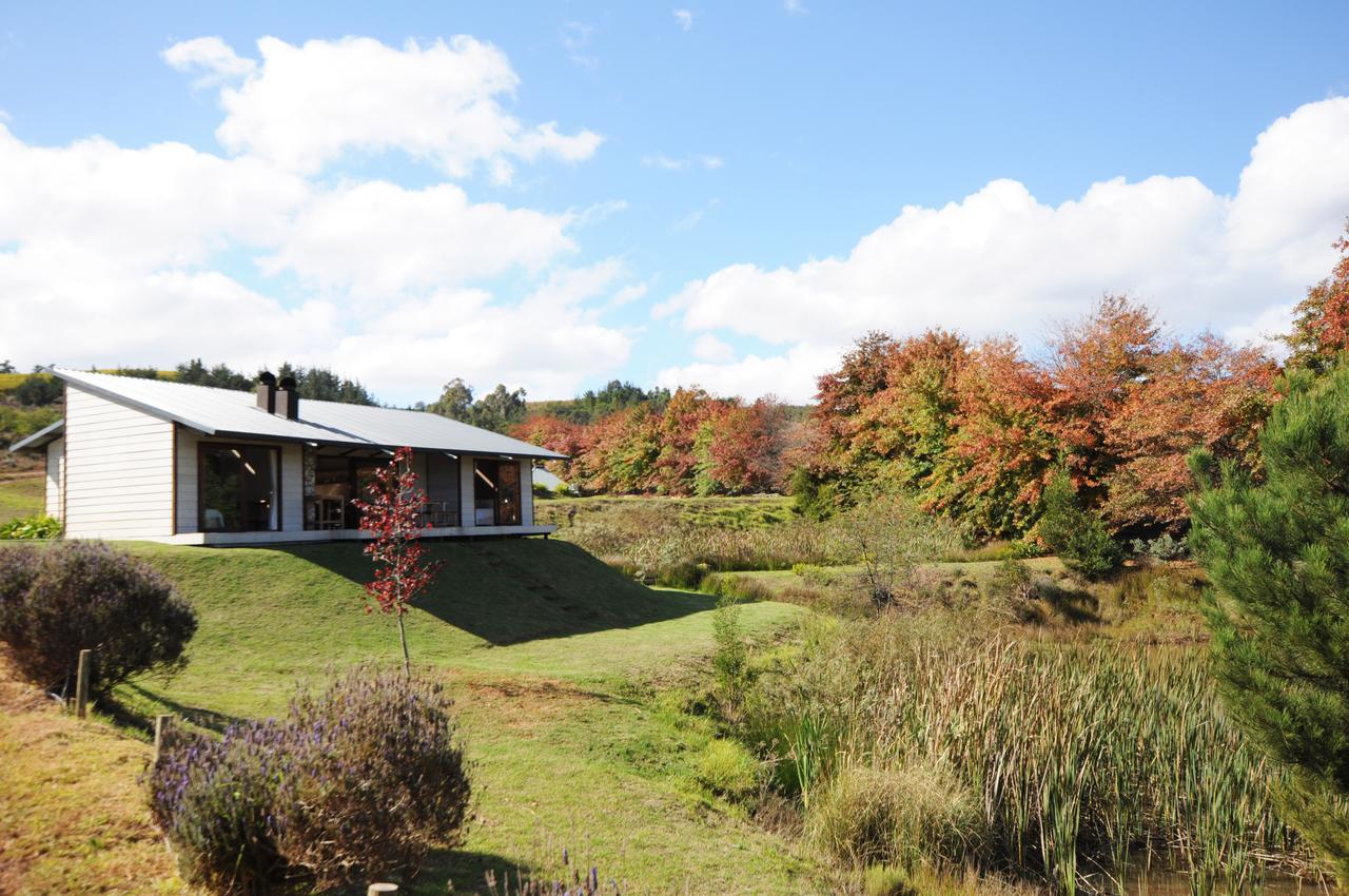 Galileo Farm Farm stay